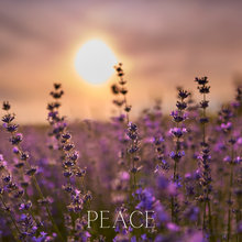 Load image into Gallery viewer, PEACE Candle*Ginger, Patchouli, Lavender