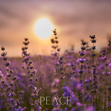 Load image into Gallery viewer, PEACE Candle*Ginger, Patchouli, Lavender
